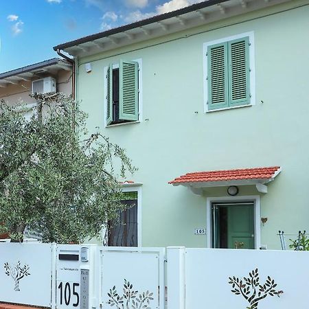 B&B Ulivo Gaio Сан-Мініато Екстер'єр фото